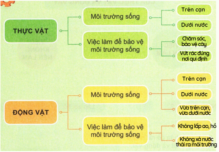 loi-giai-sgk-tu-nhien-xa-hoi-lop-2-bai-20-ket-noi-tri-thuc-2