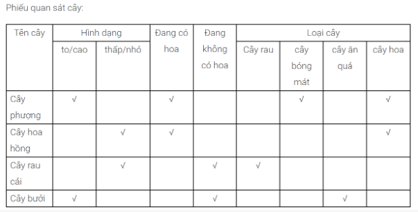 loi-giai-sgk-tu-nhien-xa-hoi-lop-1-bai-15-ket-noi-tri-thuc-2