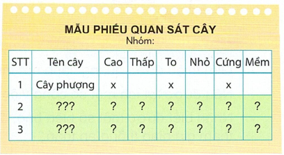 loi-giai-sgk-tu-nhien-xa-hoi-lop-1-bai-15-ket-noi-tri-thuc-1