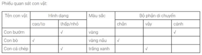 loi-giai-sgk-tu-nhien-xa-hoi-lop-1-bai-17-ket-noi-tri-thuc-2